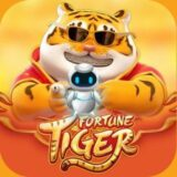 qual o melhor horário para jogar fortune tiger ícone